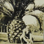 Photo of Sammy Clark by palm tree.