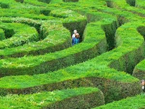 Maze, Horningsham, Wiltshire, UK Photo by Brian Robert Marshall via Geograph - CC License 2.0.