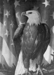 Photo of "Symbol of our Freedom" (a bald eagle in front of a flag of stars) by Stow Wengenroth.